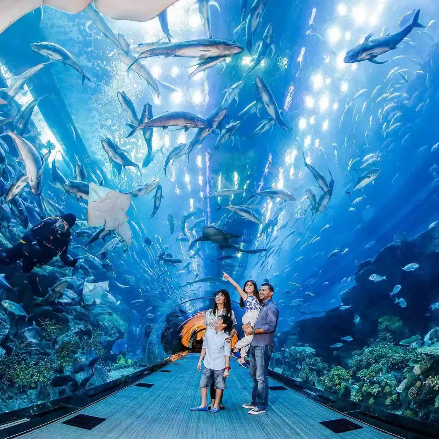 Dubai Aquarium booking